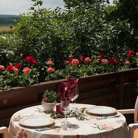Hotel Sindersdorfer Hof 3*